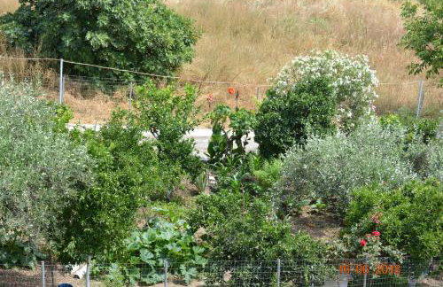 ELENI'S VILLAGE RELAXATION HOME - Photo 44