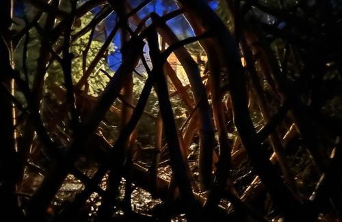 Bungalow Biberspur - Foto 48