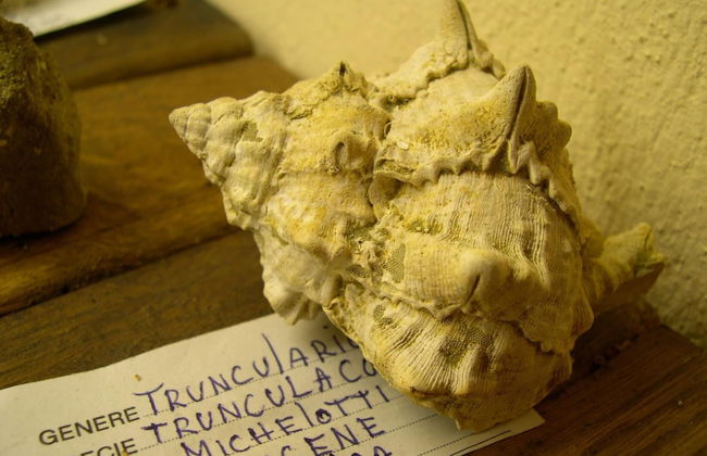 Farmhouse in Chianti With Pool and Terrace - Foto 39