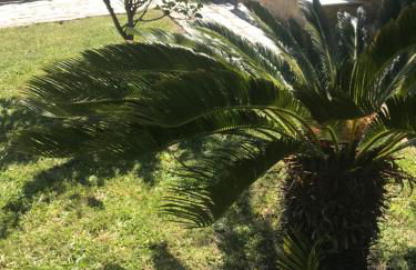 Loira ático con vistas al mar - Foto 38