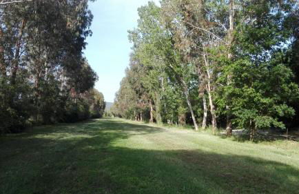 Agriturismo Il Riccio - Foto 12