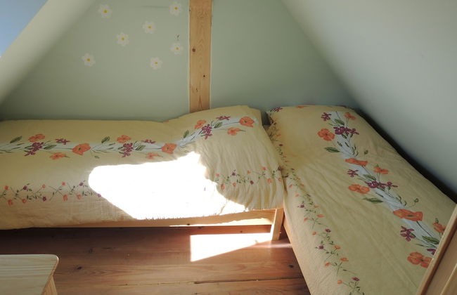 Vineyard cottage Janko in Metka - Foto 2