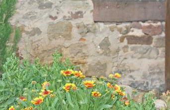 Ferienwohnungen Anneliese - Foto 19