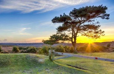 Stylish apartment 1 min to town centre and harbour - Foto 22