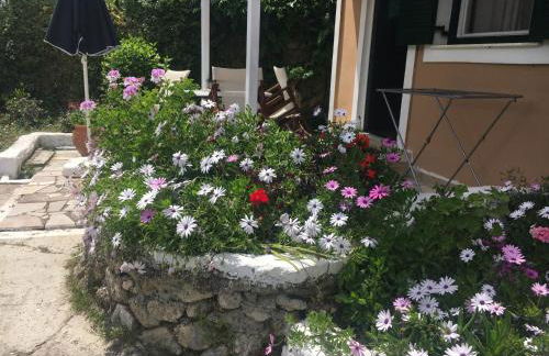 Villa Stephanie - Foto 22