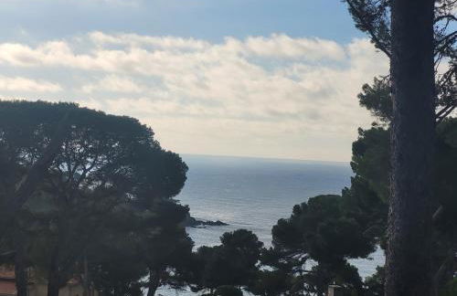 Joli T2 à Giens - Foto 6