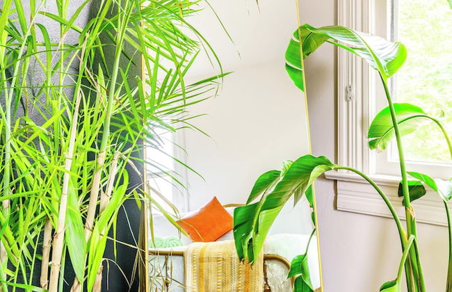 Jungle House Luxury Stays - Downtown Chillicothe - Foto 22