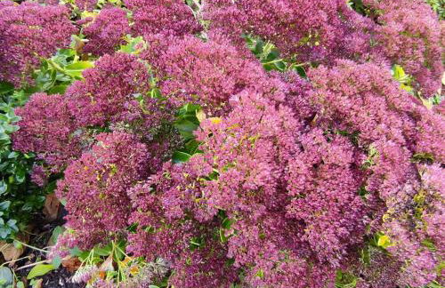 Ferienwohnung in Bissendorf - Foto 71