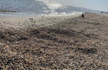 Ferienwohnung mit Terrasse - Insel Usedom - Foto 54