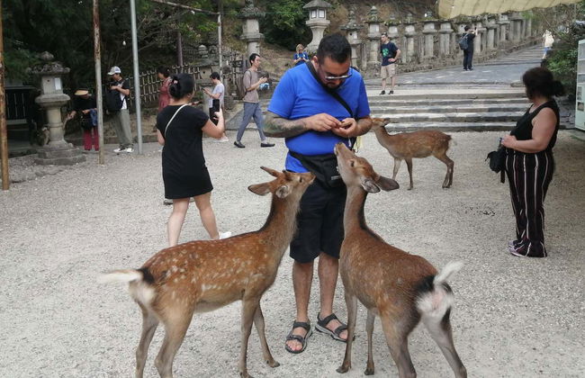 Free tour por Nara - Foto 2