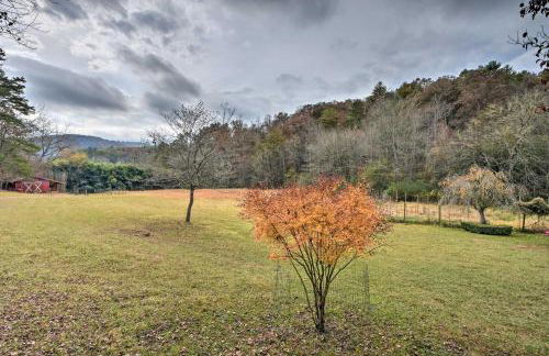 Forest Fantasy Pet-Friendly Smoky Mtn Escape! - Foto 17