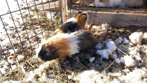 SUNNLEITN HOF - Foto 2