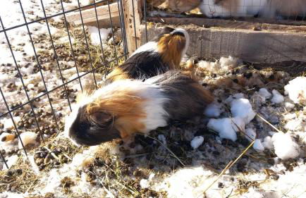 SUNNLEITN HOF - Foto 2