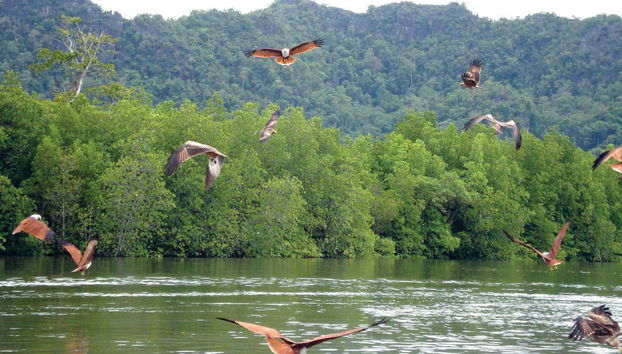 Beras Basah Island Trip - Foto 3