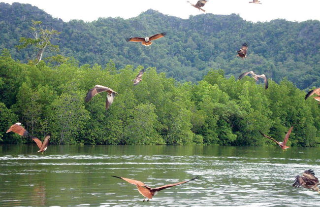 Escursione all'isola di Beras Basah - Foto 3