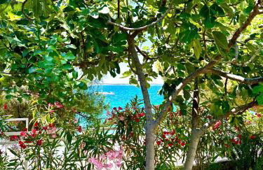 Perla & Palma - Foto 19