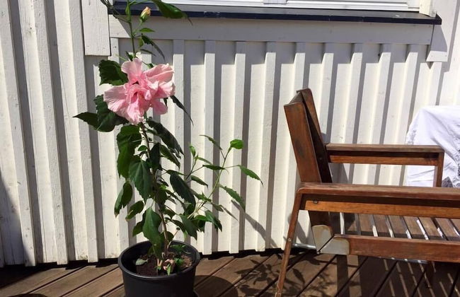 The White House - Foto 45