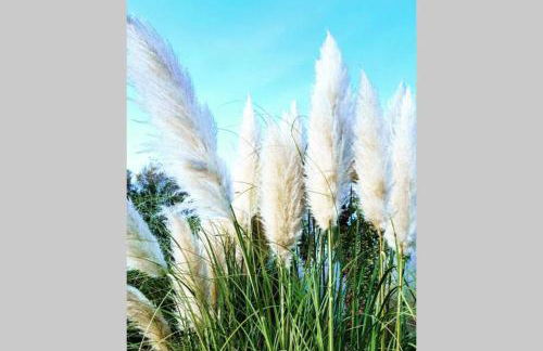 Bellavista la tua romantica vacanza sul Trasimeno - Foto 61