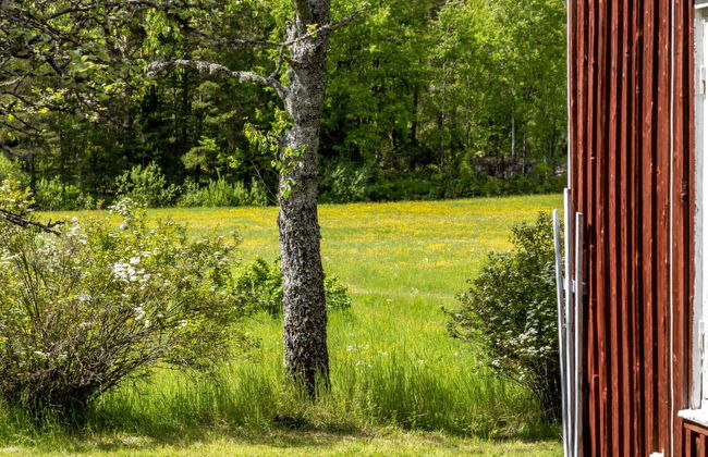 Vassviken - Photo 22