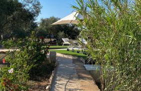 CAN DAMIA 3 - Foto 50