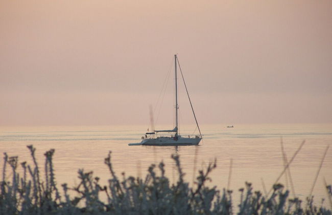 Agriturismo biologico 'A Lanterna - Foto 62