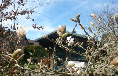 Ferienwohnung Palm - Foto 31