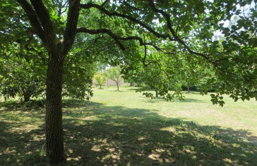 Le Grès 313 - Photo 29