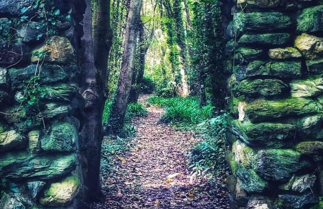 Lligwy House - Charming 3-bed House in Holyhead - Photo 15