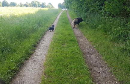 Ferienwohnung Schulz - Photo 1