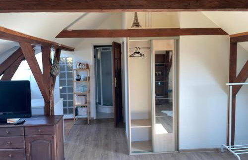 Dzika Foka Wiosłowa 49 - Photo 20