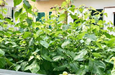 Casetta del pescatore - Photo 35