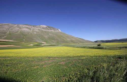 Il Rustico di Meggiano - Photo 32