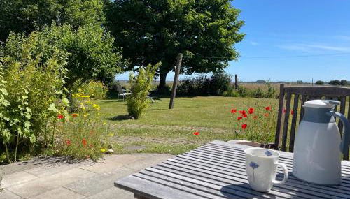 Fantastische Sonnenaufgänge über dem Bodden - Foto 3, Garden, Garden view