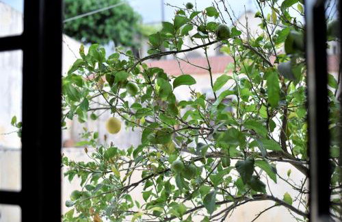 Lale's House - Photo 32