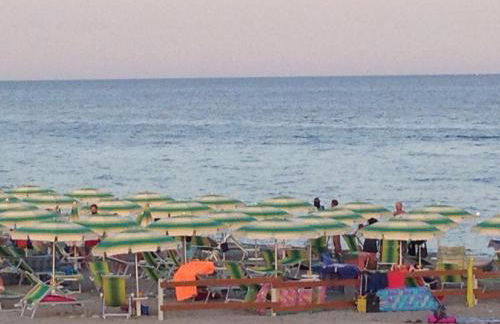 Fiordaliso - Foto 41