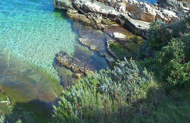 Apartments Misini Dvori - Foto 30