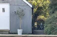 The Hen House - Foto 1