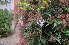 House - Sunlit haven with outdoor terrace, garage and metro 14, RER B - Foto 7