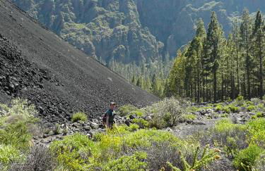 CASA FAMILIA - RELAX - Foto 23