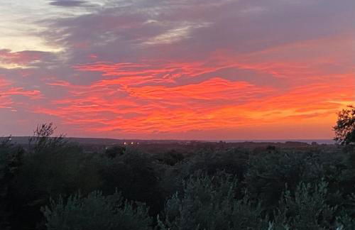 Cuccuru Relax - B IUN Q9882 - Foto 23