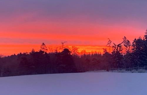 FeWo Landblick - Foto 13