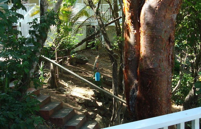 Galley Bay Cottages - Foto 60