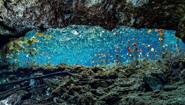 Les fonds impressionnants des cénotes