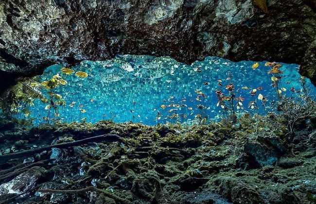 Snorkeling dans un cénote de Mérida - Photo 4