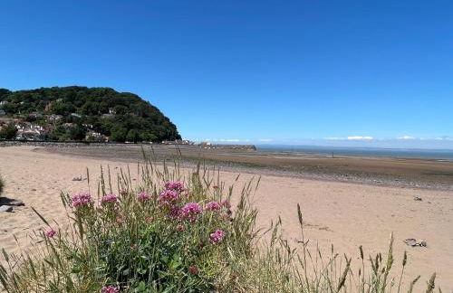 The Old Sweet Shop - Photo 44