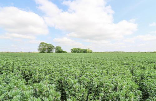 Woodpecker - Foto 30