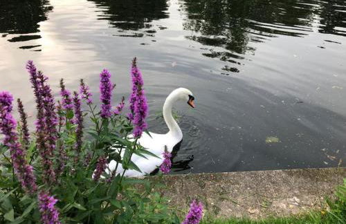 RIVER RETREAT- near Holloway U, Thorpe Park and Heathrow airport - Foto 46