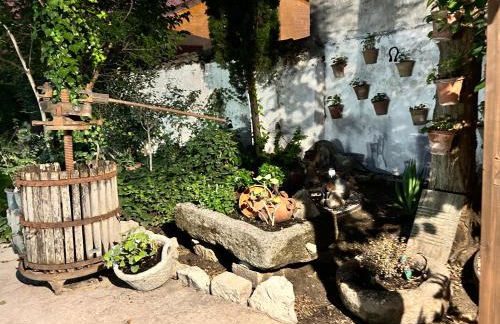 La Cija Olmedo - Foto 53