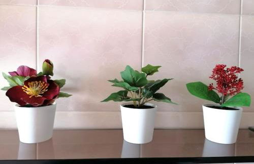 Overlooking Genoa - Foto 14