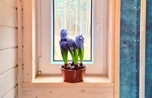 Ostoja Wycinki domki letniskowe - Foto 27